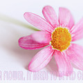 Love is a flower